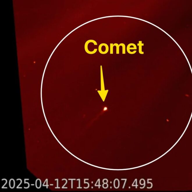 sun-activity-archive-for-april-2025