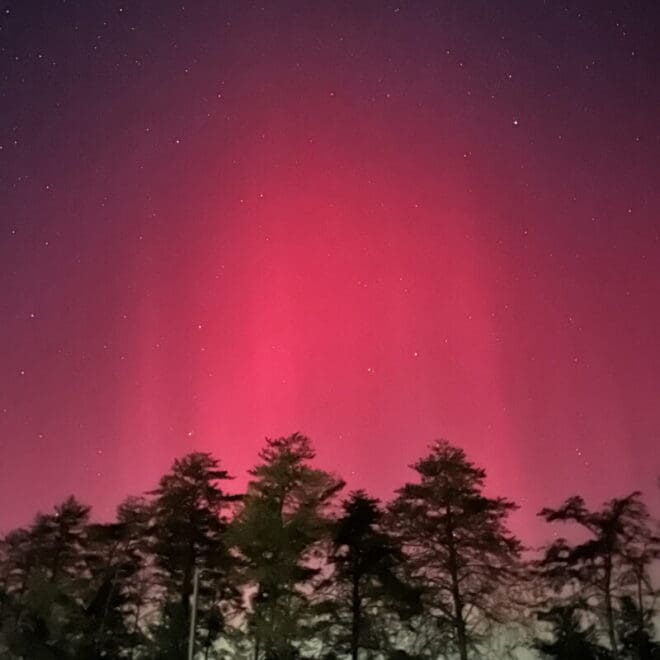 [Alex on EARTHSKY.ORG] Sun activity archive for October 2024. A daily record of flaring, big filaments and prominences, and other sorts of activity, on our local star.